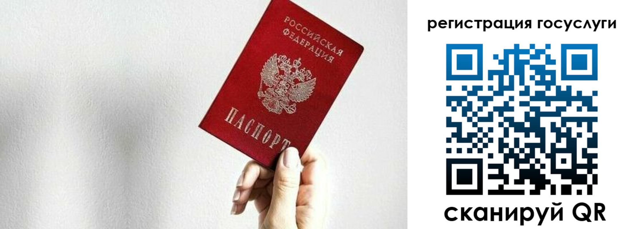 временная регистрация гарантия в Александровске